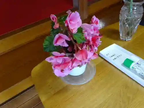 妙蓮寺(神奈川県)