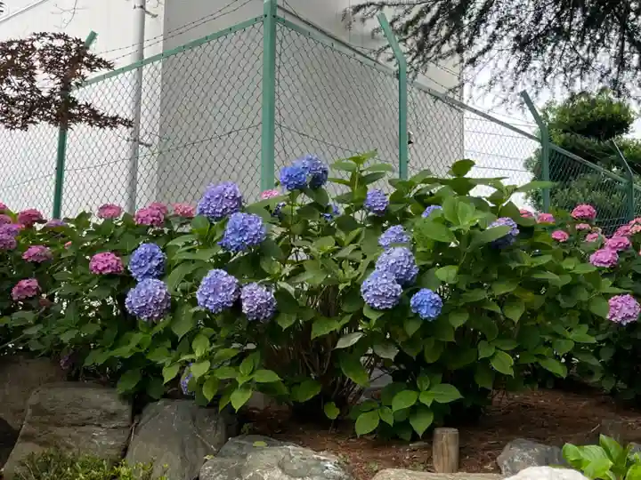 吉祥寺(埼玉県)