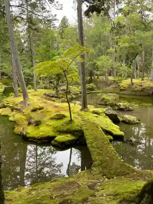 西芳寺(京都府)