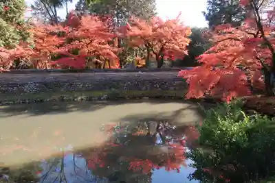永保寺(岐阜県)