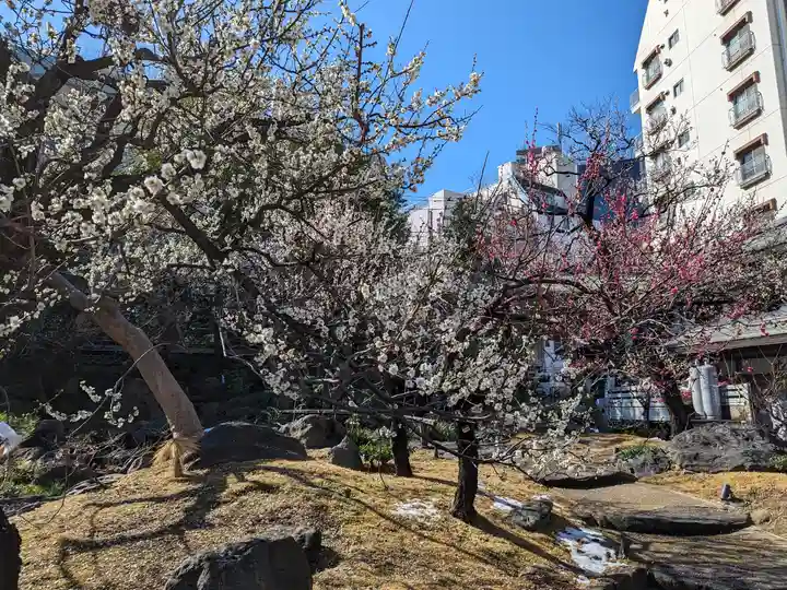 湯島天満宮(東京都)