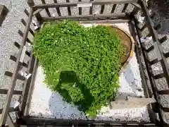 長良神社の建物その他