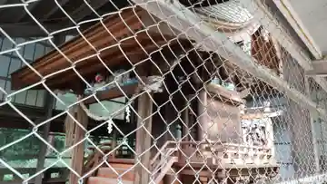 白山神社の本殿・本堂