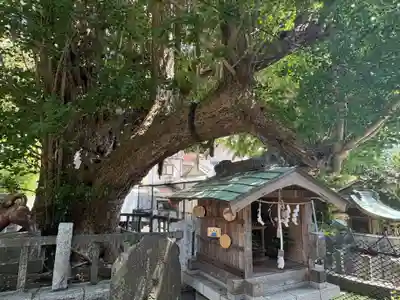 海南神社(神奈川県)