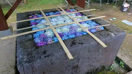 土津神社｜こどもと出世の神さまの手水