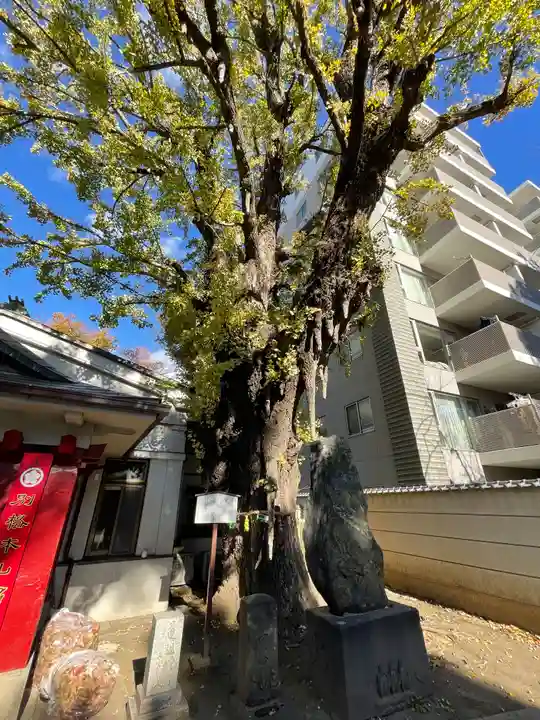 品川寺(東京都)