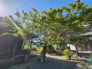 円明寺のその他建物
