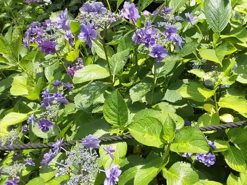 長谷寺(神奈川県)