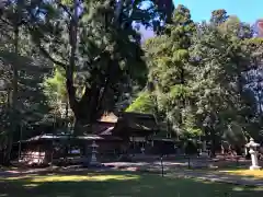 若狭姫神社（若狭彦神社下社）(福井県)