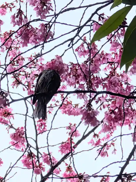 新井天神北野神社(東京都)