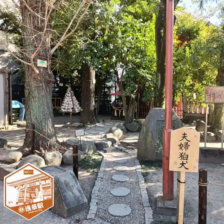 浅草神社の狛犬