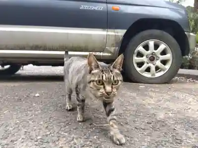 清泰寺(岐阜県)