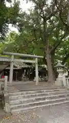 細江神社の鳥居