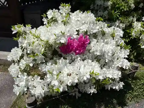 城南宮(京都府)