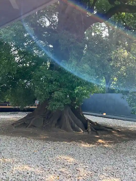 上野東照宮(東京都)