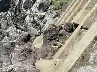 十六羅漢岩 (山形県)