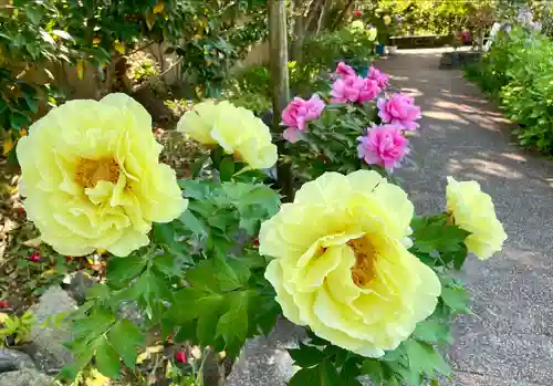 筥崎宮(福岡県)