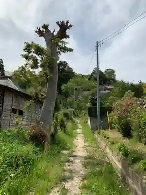 八坂神社の周辺