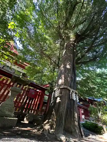 秩父神社(埼玉県)