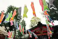 くまくま神社(導きの社 熊野町熊野神社)のお祭り