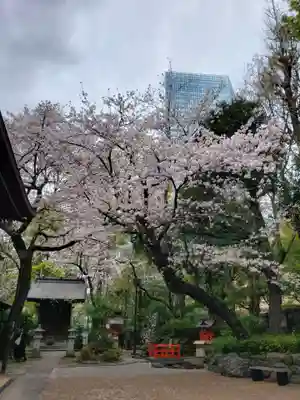 熊野神社(東京都)
