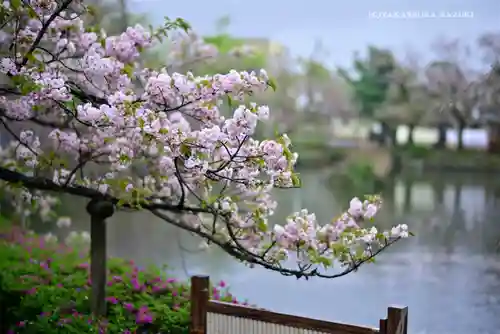 三嶋大社の庭園