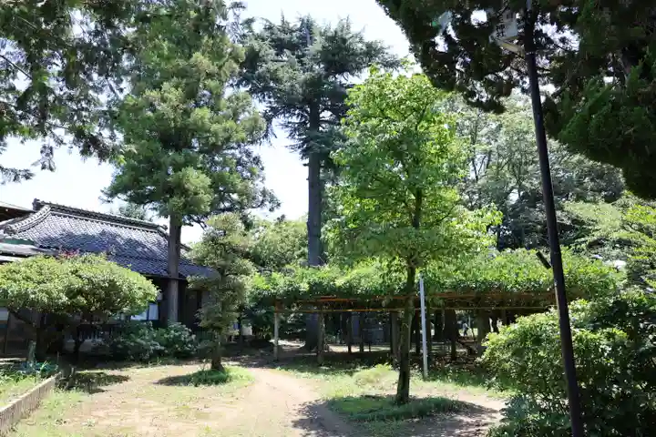 武蔵第六天神社(埼玉県)