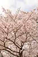 海禅寺(愛媛県)