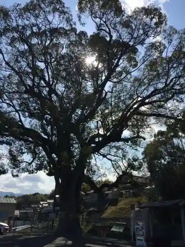 尾崎稲荷大明神の自然