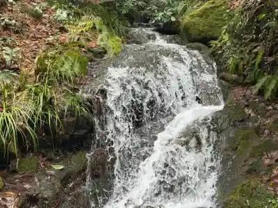 白山比咩神社の{uncategorized: "未分類", other: "その他", undefined: "問題あり", building: "その他建物", grave: "お墓", sacred_gate: "鳥居", guardian: "狛犬", statue: "像", buddha: "仏像", history: "歴史", nature: "自然", garden: "庭園", animal: "動物", pagoda: "塔", temizu: "手水舎", mountain_gate: "山門・神門", sanctuary: "本殿・本堂", subordinate: "末社・摂社", art: "芸術", scenery: "景色", jizo: "地蔵", ema: "絵馬", goshuin: "御朱印", omikuji: "おみくじ", items: "授与品その他", amulet: "お守り", goshuincho: "御朱印帳", eats: "食事", festival: "お祭り", votive_dance: "神楽", shichigosan: "七五三参", wedding: "結婚式", experience: "体験その他", initially: "初詣", around: "周辺", anti_infection: "感染症対策"}