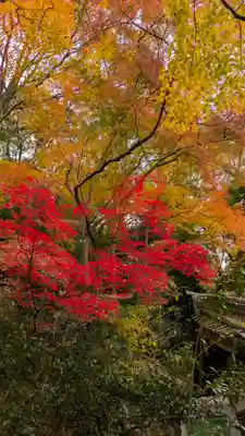 長楽寺(京都府)