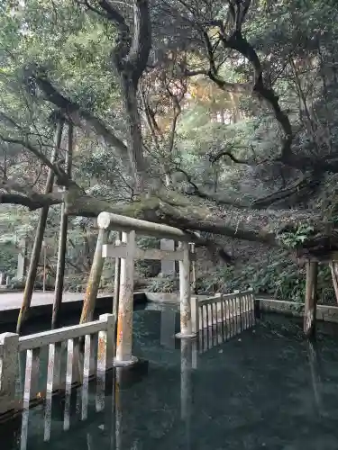 鹿島神宮(茨城県)