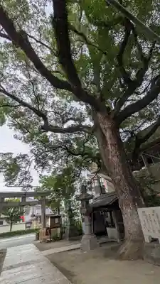 皇大神社(兵庫県)