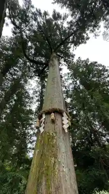 高鴨神社(奈良県)