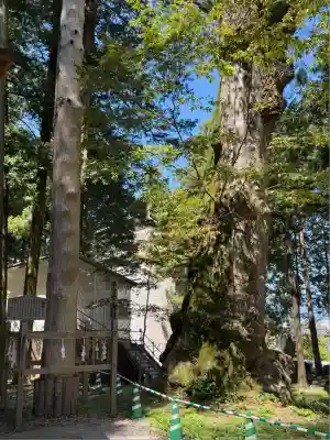 諏訪大社(長野県)