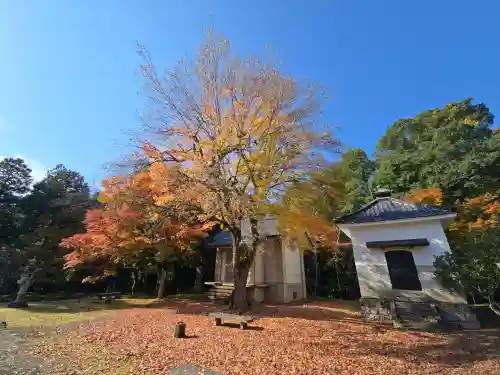 天寧寺(京都府)