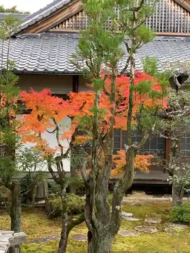 仁和寺の庭園