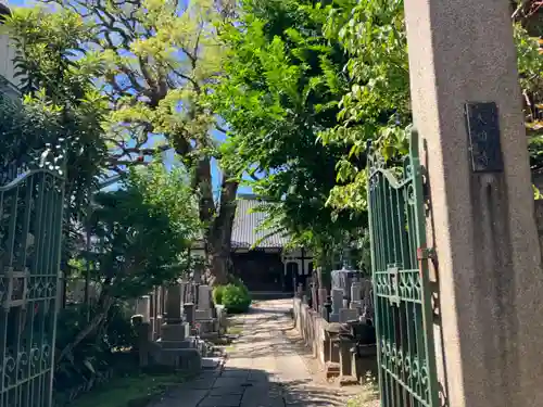 大雄寺(東京都)