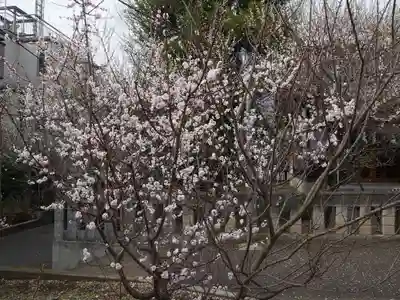 菅原神社（子安天満宮）の自然