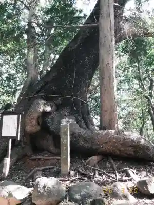 住吉神社の{uncategorized: "未分類", other: "その他", undefined: "問題あり", building: "その他建物", grave: "お墓", sacred_gate: "鳥居", guardian: "狛犬", statue: "像", buddha: "仏像", history: "歴史", nature: "自然", garden: "庭園", animal: "動物", pagoda: "塔", temizu: "手水舎", mountain_gate: "山門・神門", sanctuary: "本殿・本堂", subordinate: "末社・摂社", art: "芸術", scenery: "景色", jizo: "地蔵", ema: "絵馬", goshuin: "御朱印", omikuji: "おみくじ", items: "授与品その他", amulet: "お守り", goshuincho: "御朱印帳", eats: "食事", festival: "お祭り", votive_dance: "神楽", shichigosan: "七五三参", wedding: "結婚式", experience: "体験その他", initially: "初詣", around: "周辺", anti_infection: "感染症対策"}