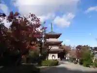 真禅院(岐阜県)