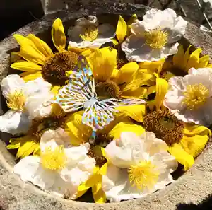 真言宗 善通寺派 薬王寺(香川県)(2022年11月05日(土) 14時46分00秒投稿)