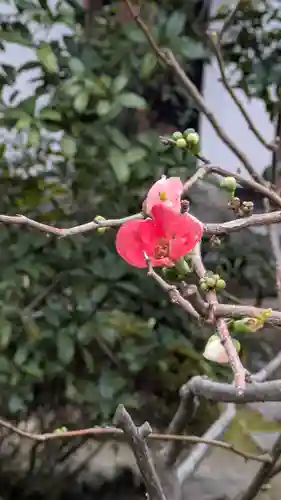 義仲寺(滋賀県)