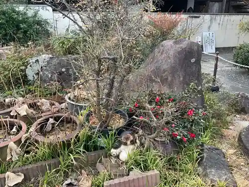 大蓮寺(京都府)