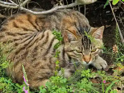 成田山新勝寺(千葉県)