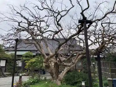 補陀洛寺(神奈川県)