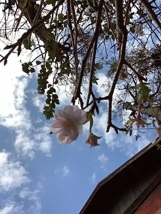 素盞男神社の自然