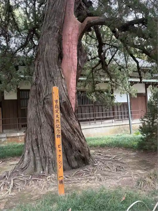 円覚寺(神奈川県)