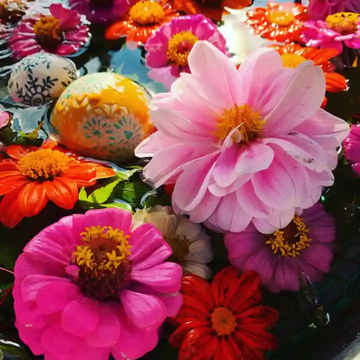 豊景神社の手水舎