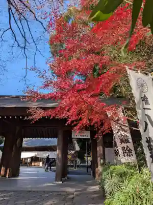 阿佐ヶ谷神明宮(東京都)